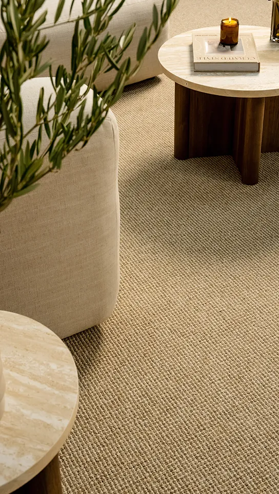 Beige Rug